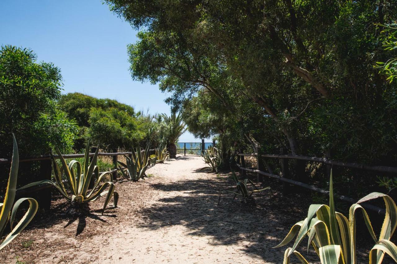 Casara Uno - Hermoso Loft En Playa Zahora Buitenkant foto